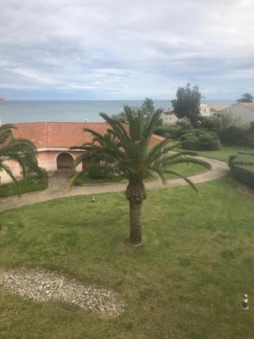 Studio Cala Sognu Moriani Residence San Nicolao Bagian luar foto